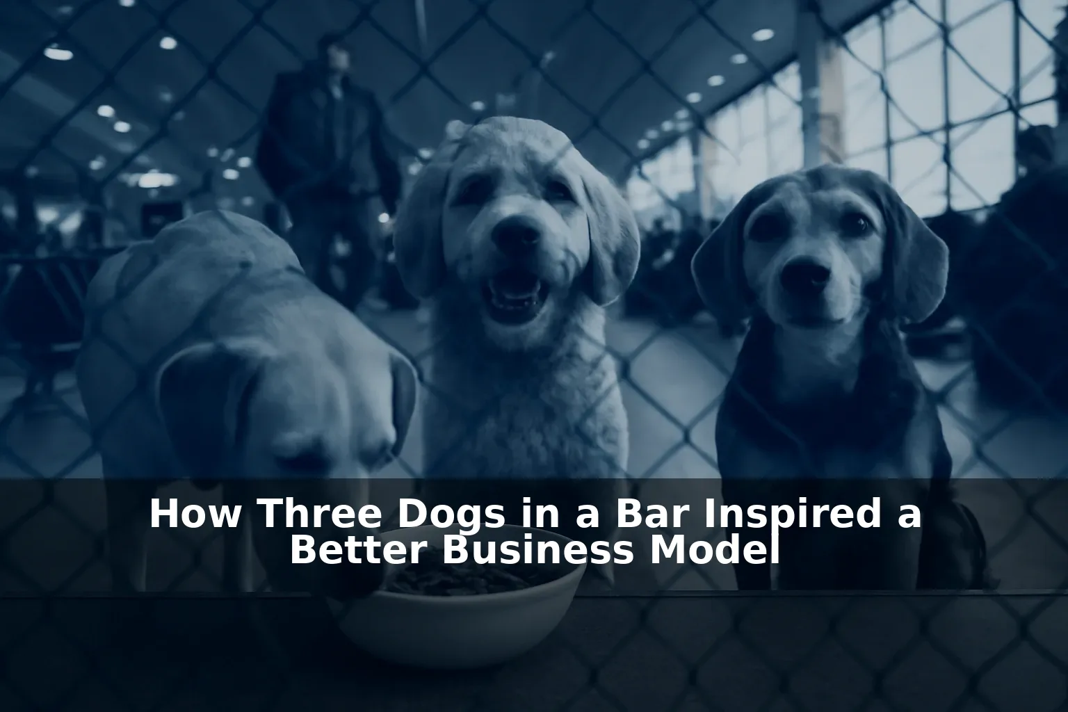 How Three Dogs in a Bar Inspired a Better Business Model