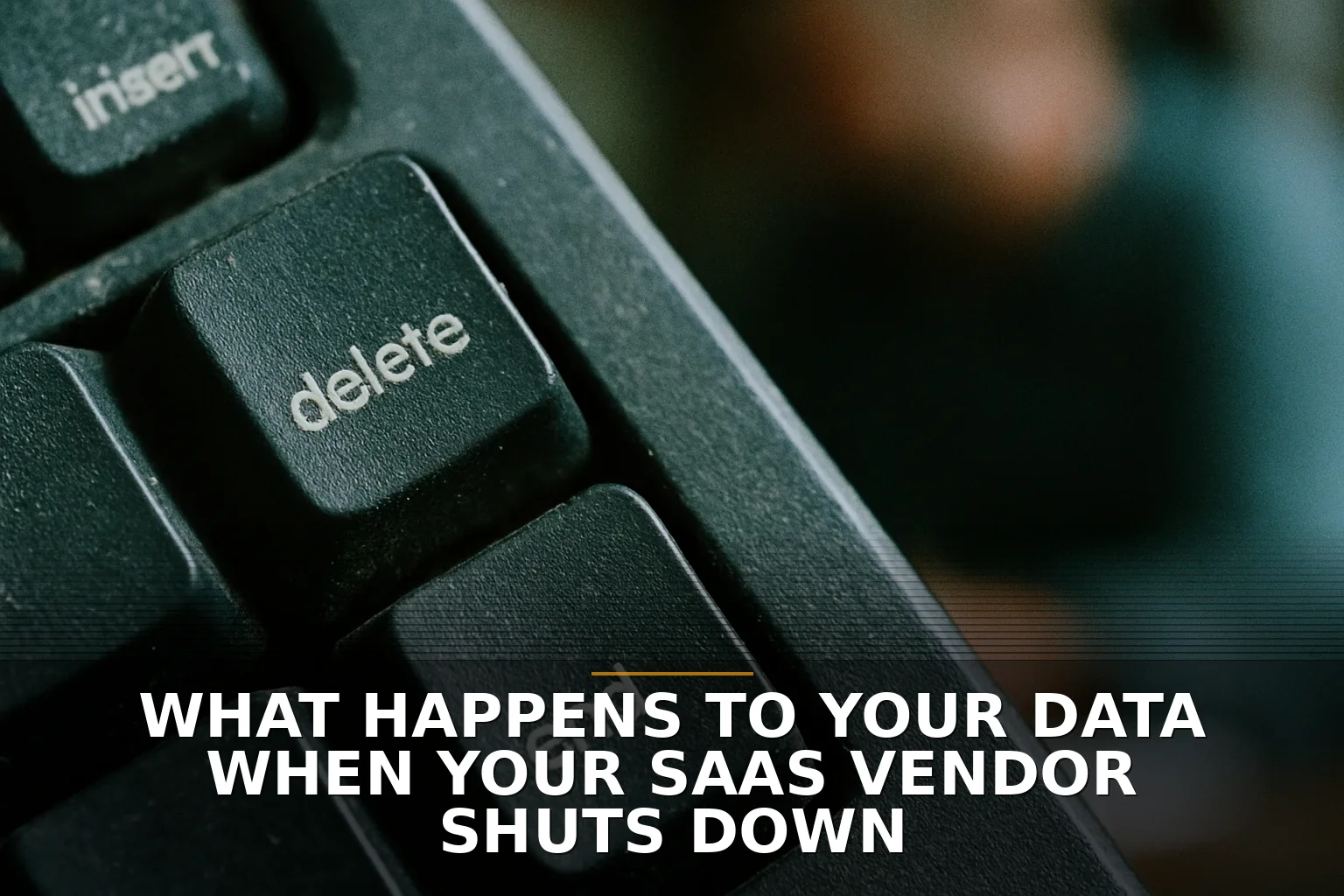 What happens to your data when your SaaS vendor shuts down