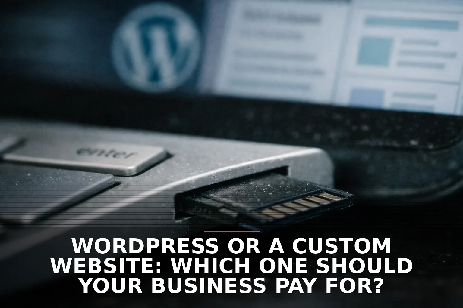 WordPress or a Custom Website: Which One Should Your Business Pay For?